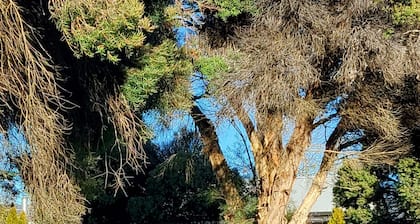 Free Wi-fi, Netflix, Sleeps 8 - Tathra of Talbingo