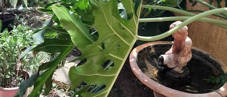 A greenhouse with various plants, a terracotta pot with a statue, and a metal fence in the background.