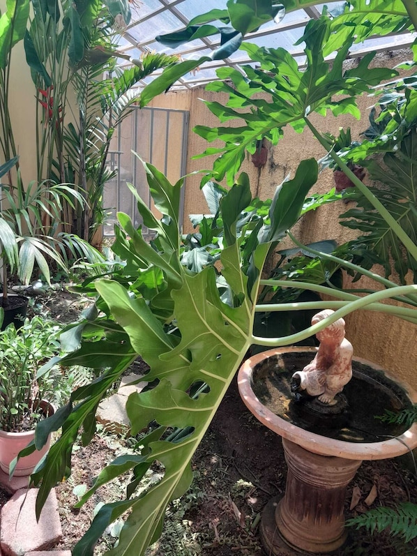 DĂ©tail de lâextĂ©rieur