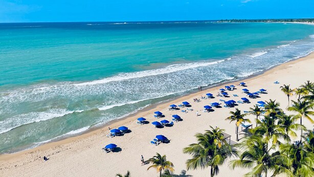 A beach with numerous blue umbrellas and palm trees. - San Juan, 2 rooms w/private pool, outdoor kitchen/BBQ & nearby & peaceful (San Juan)