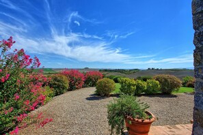 Property grounds - San Donnino - San Donnino 6 (Monteroni d'Arbia)