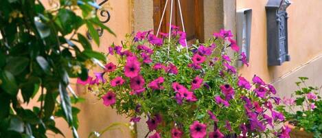 Détail de l’extérieur