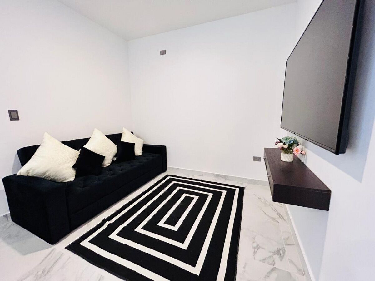En moderne stue med en sort sofa, hvide puder, en måtte med sort-hvide mønstre, et fladskærms-TV på en vægmonteret hylde og en lille plante på hylden.