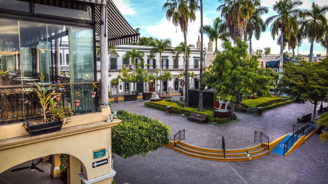 A courtyard with a building, palm trees, and a blue wheelchair-accessible path.