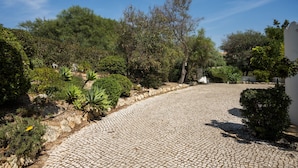 Ein gepflasterter Weg schlängelt sich durch einen Garten mit verschiedenen Sträuchern und Bäumen.