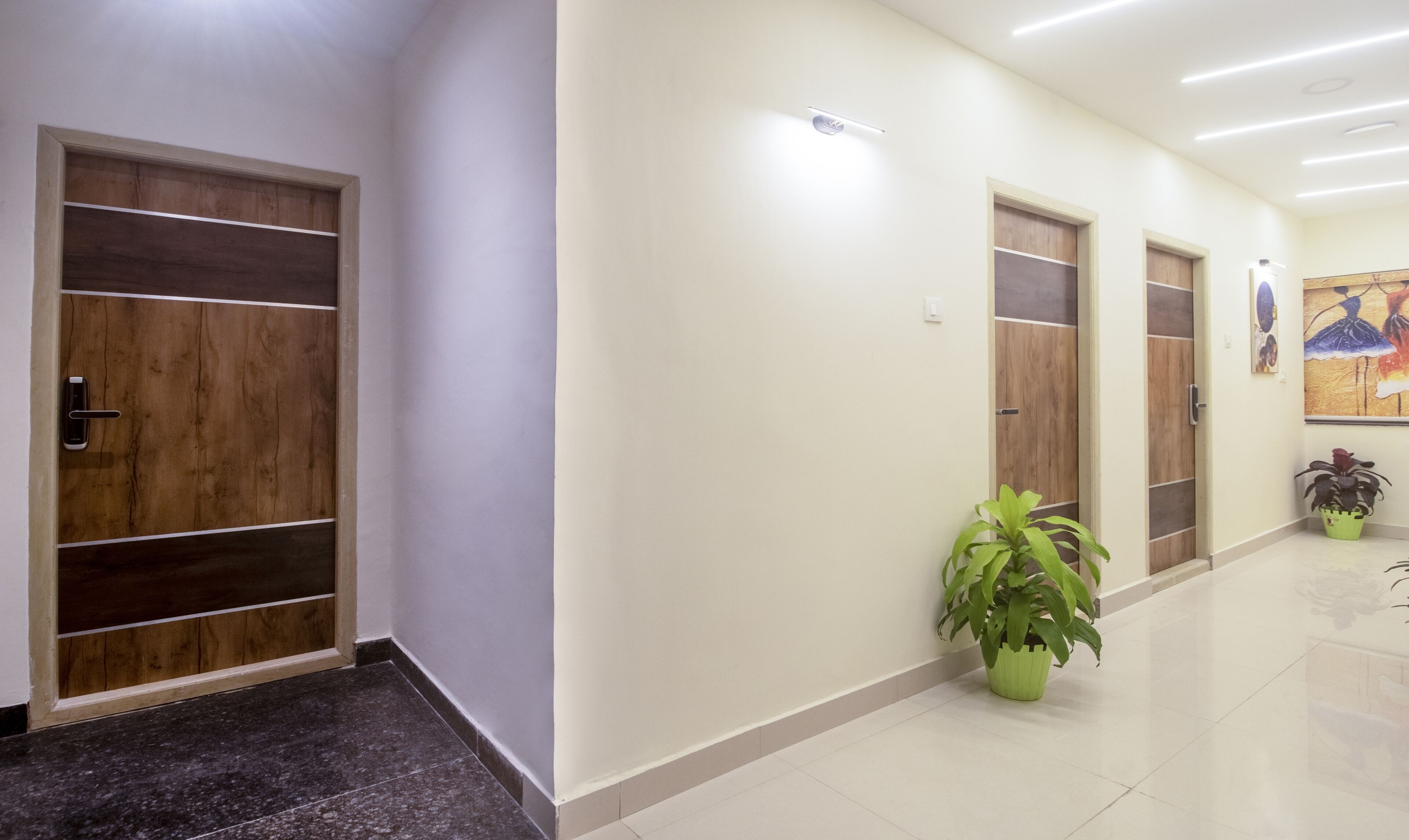 A hallway with wooden doors, a green potted plant, and a painting on the wall.