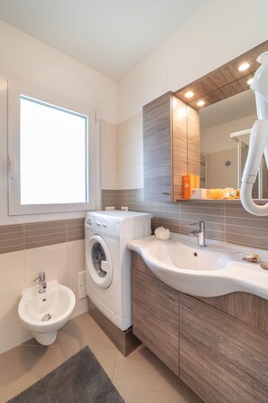 Shower, hair dryer