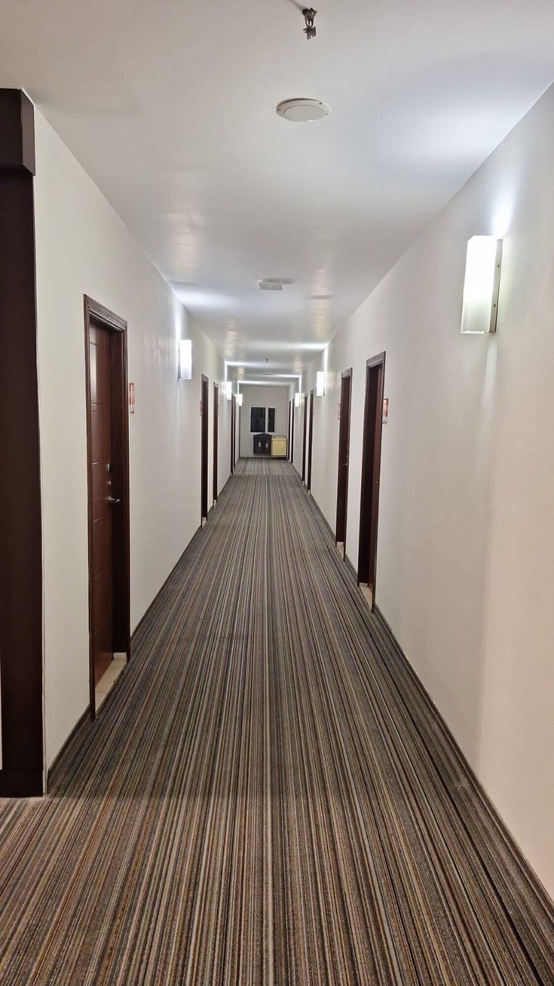 Et hotel med et tæppe beklædt gulv, døre på begge sider og indbygget belysning i loftet.