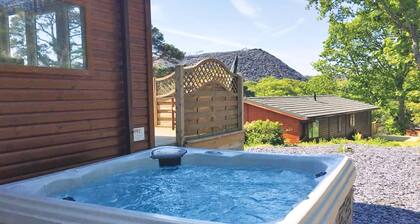 Alojamiento de 1 habitaciones en Snowdonia