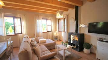 Una televisión, una chimenea, un reproductor de DVD