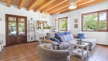 TV, fireplace, DVD player