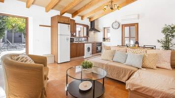 TV, fireplace, DVD player