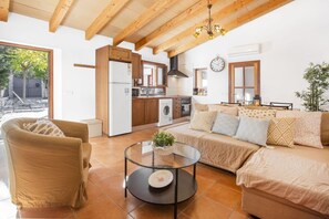 TV, fireplace, DVD player