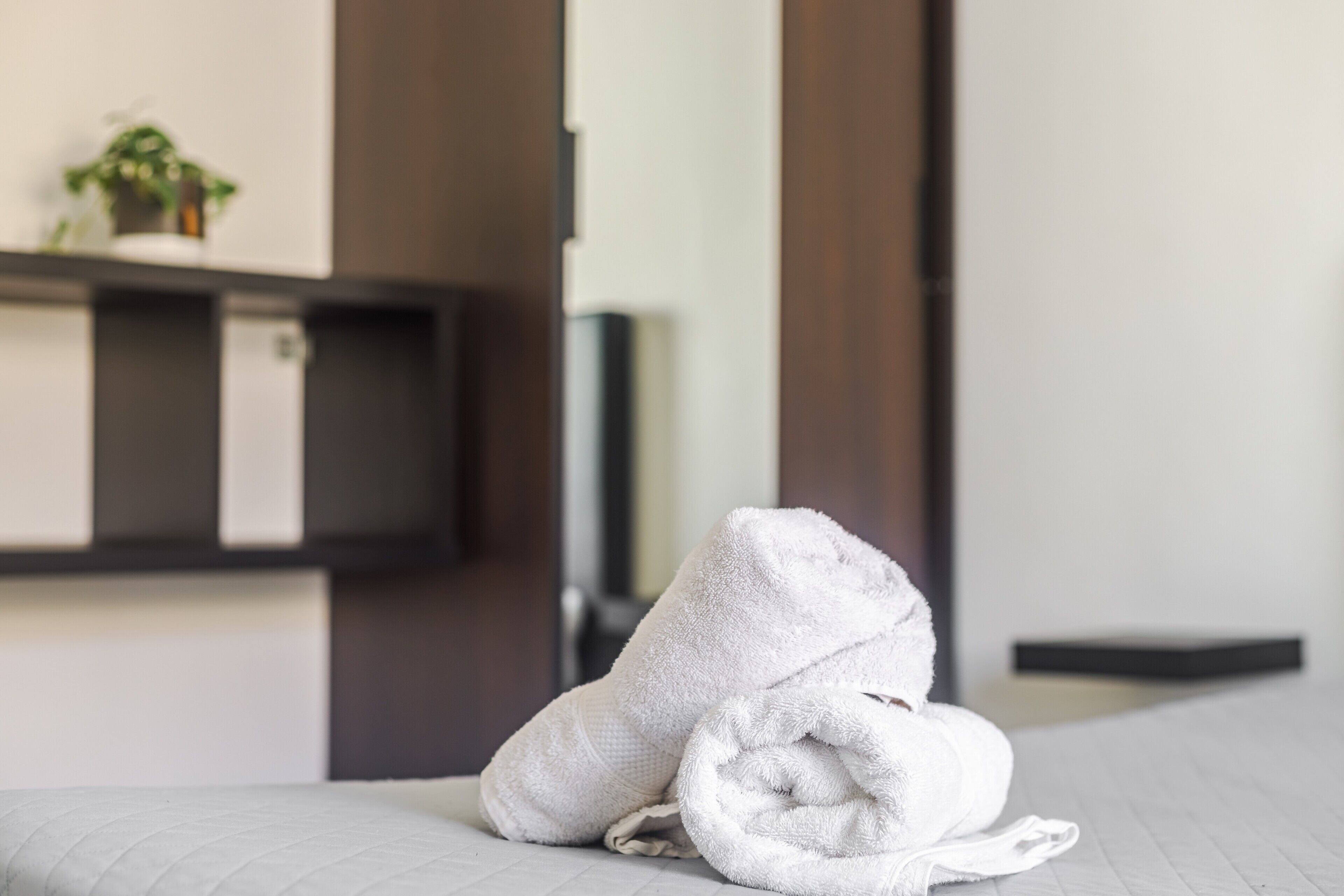 A neatly made bed with a rolled white towel, a small potted plant on a shelf, and a dark wooden panel.