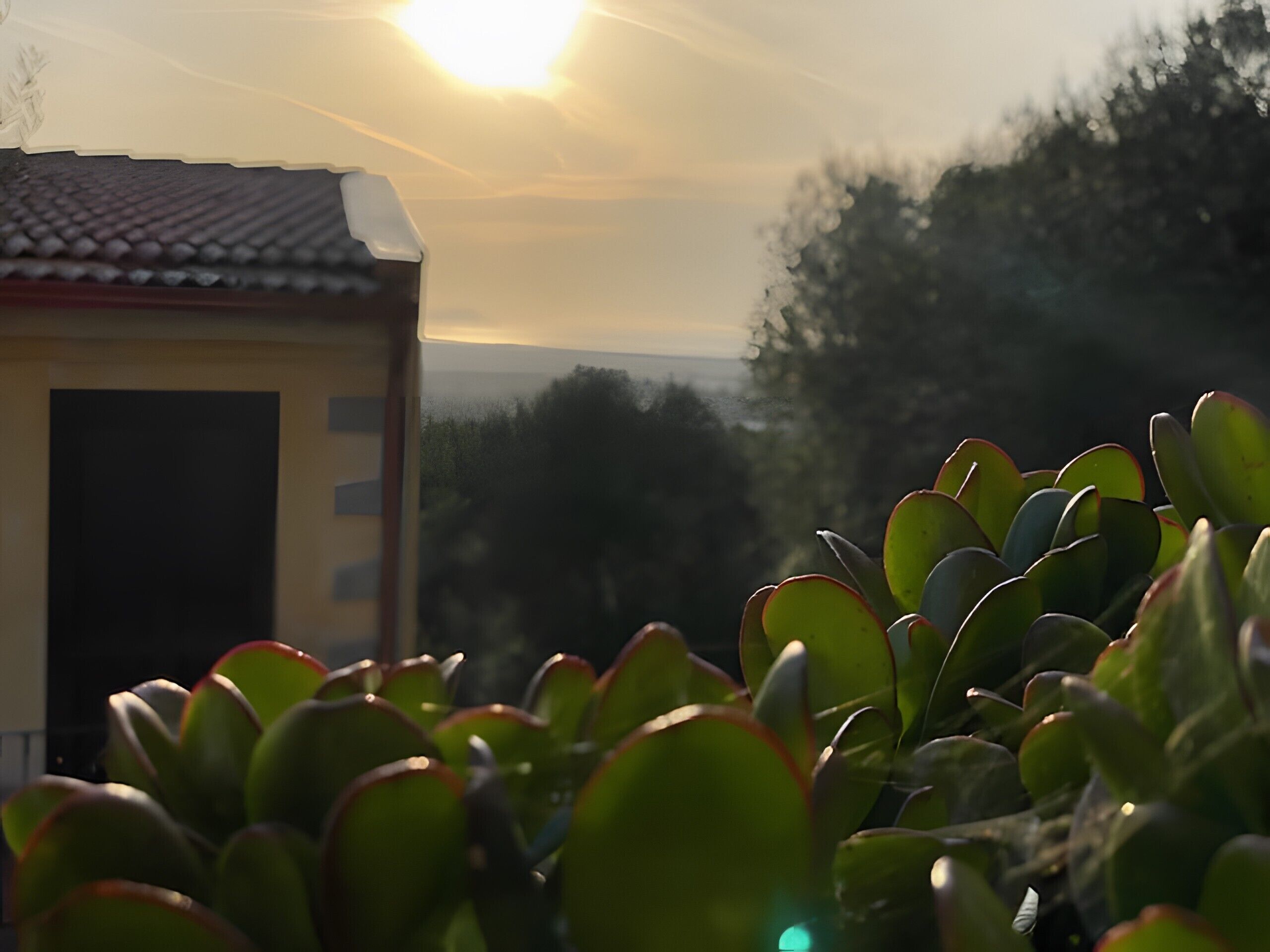 Details aan de buitenkant