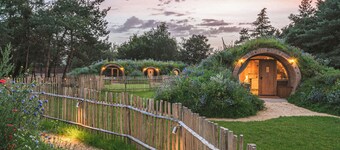 Hive and Spruce Burrow