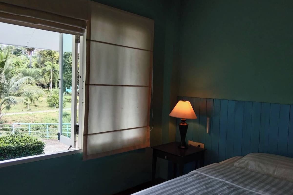 Basic Suite | View from room