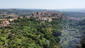 Aerial view - HAPPY HOME (Orte)