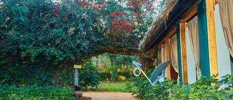A garden pathway leading to a building with a thatched roof and striped curtains.