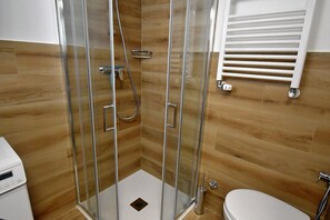 Shower, hair dryer, towels, toilet paper