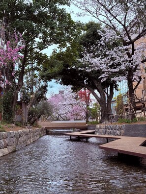 A tranquil waterway with stone benches, cherry blossoms, and traditional architecture.