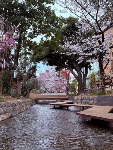 Kyoto Hatsune Hotel