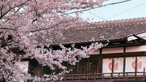 A traditional Japanese building with a tiled roof and wooden beams.