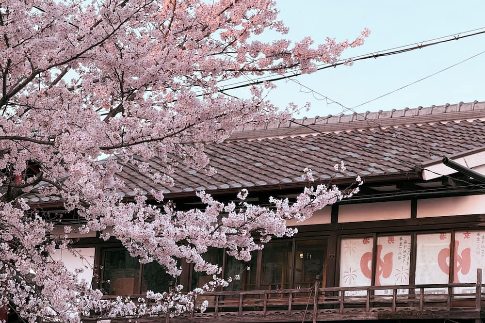 Kyoto Hatsune Hotel