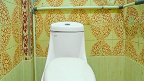 A toilet in a bathroom with patterned tiles on the walls and floor.
