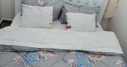 Fully furnished -Thika CBD