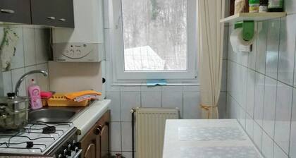Cozy mountain retreat close to great ski slopes, bike and hiking trails.