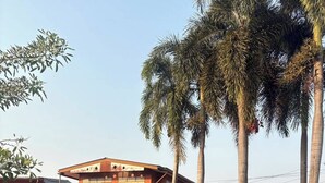 Un área de piscina con sillones de descanso, una fuente de agua, palmeras y un edificio de diseño moderno.