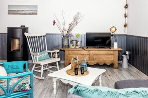 Télévision, cheminée, lecteur de DVD, livres