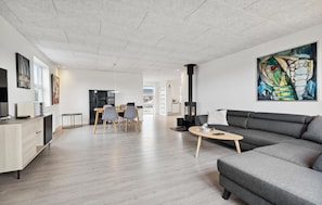 Fernseher, Kamin