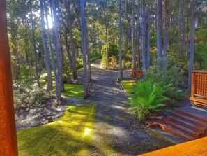 Property grounds - Hastings Bay Retreat – Idyllic Forest Hideaway! (Hastings)