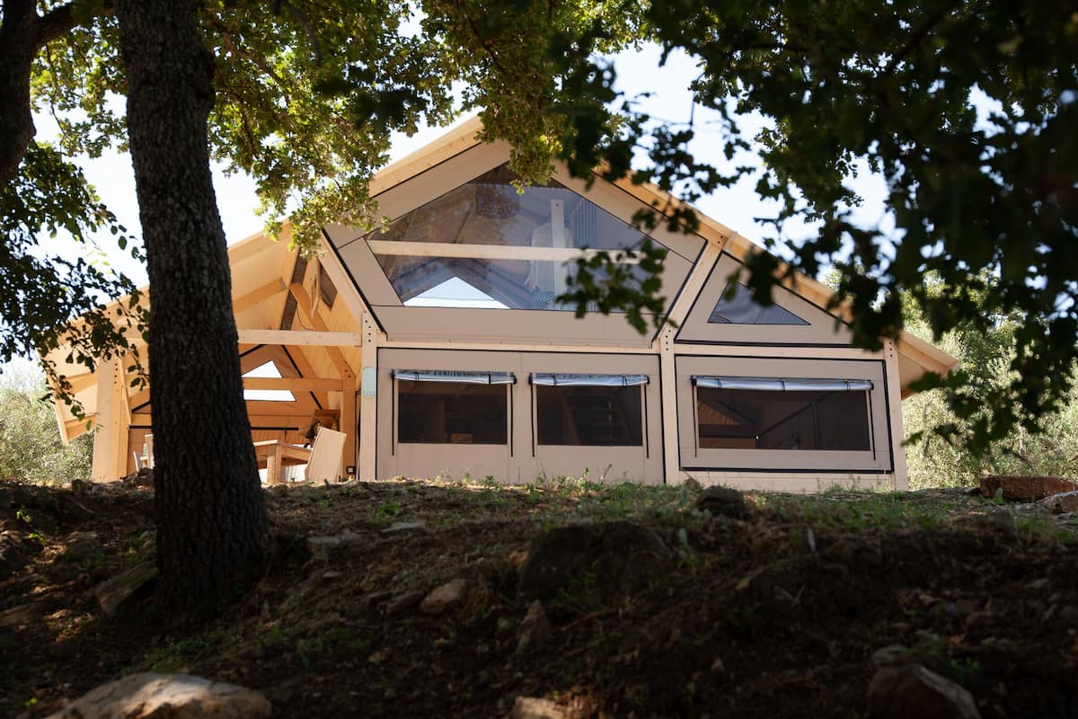 A modern house with a sloped roof, large windows, and a tree in the foreground.