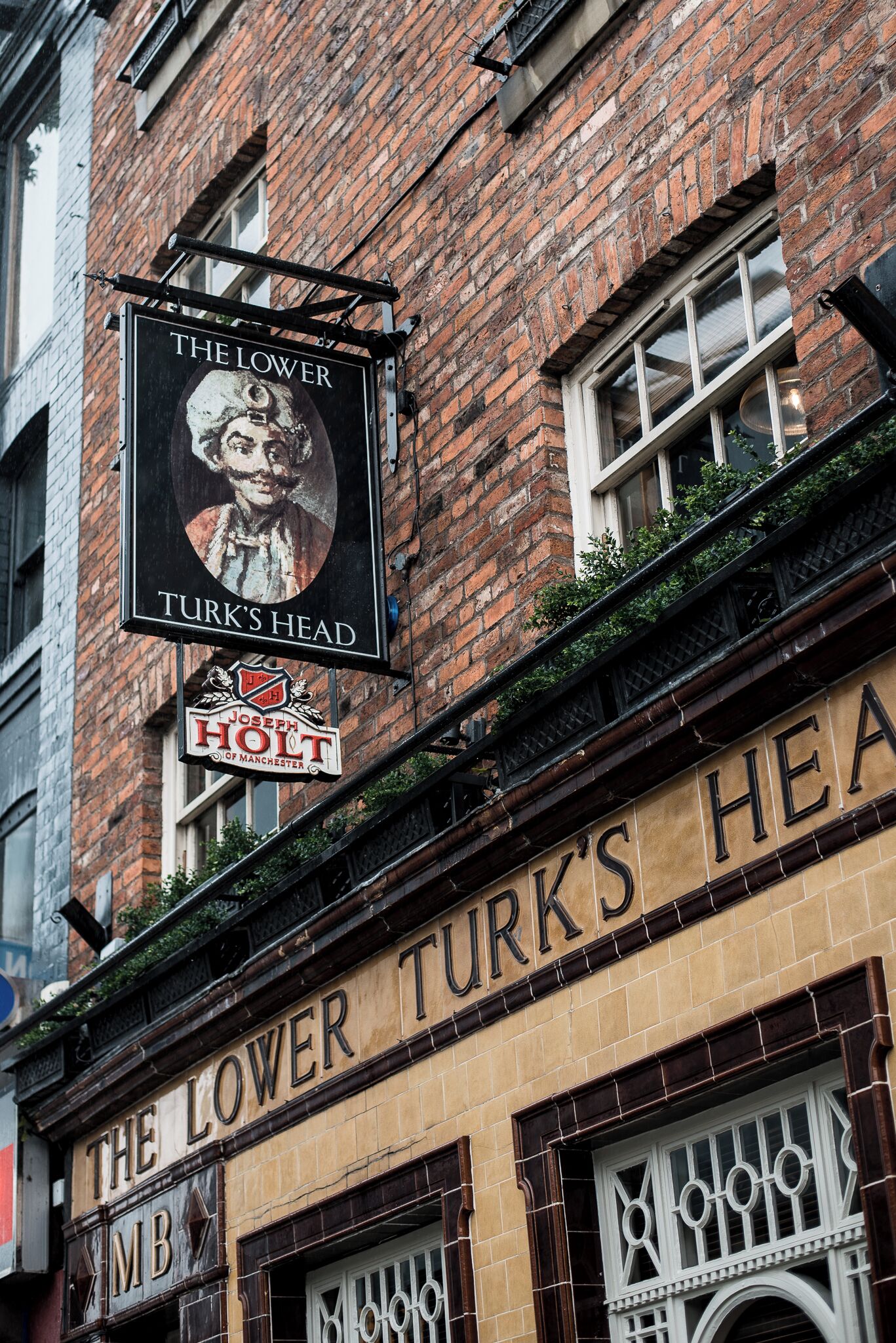 Photo - Lower Turks Head