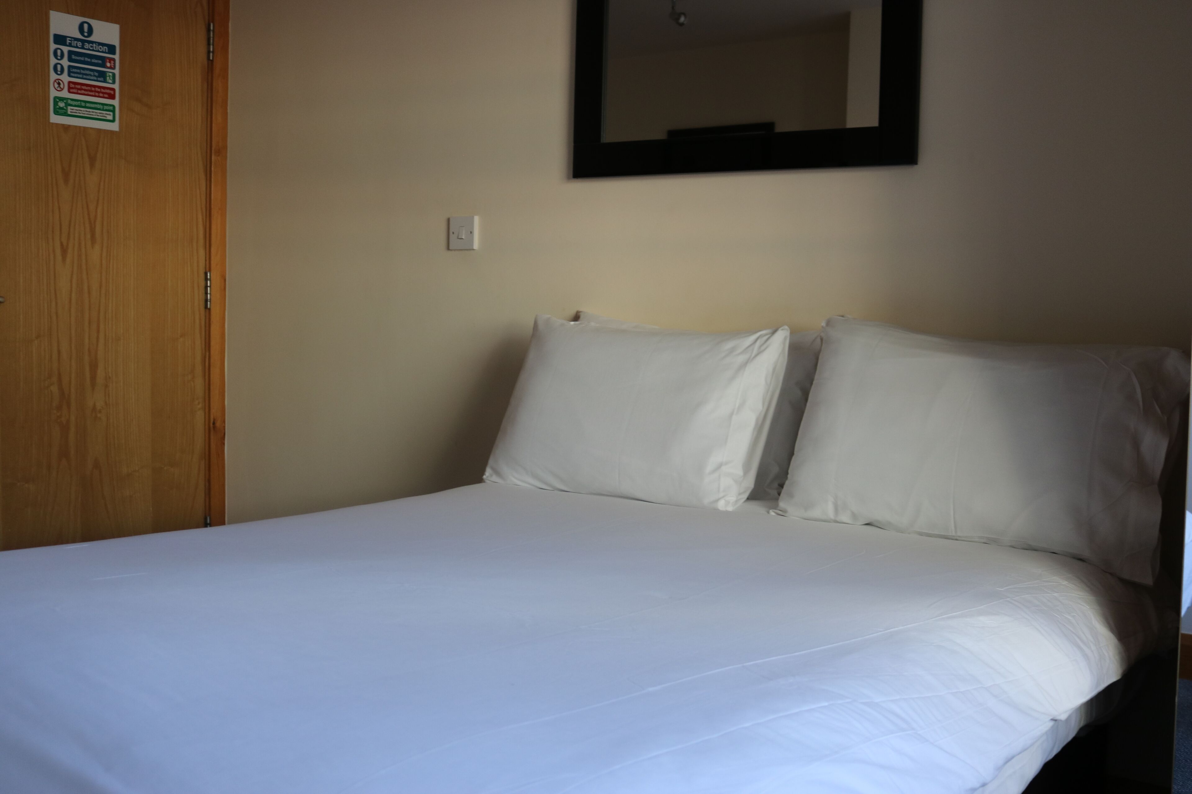 Photo - Lower Turks Head