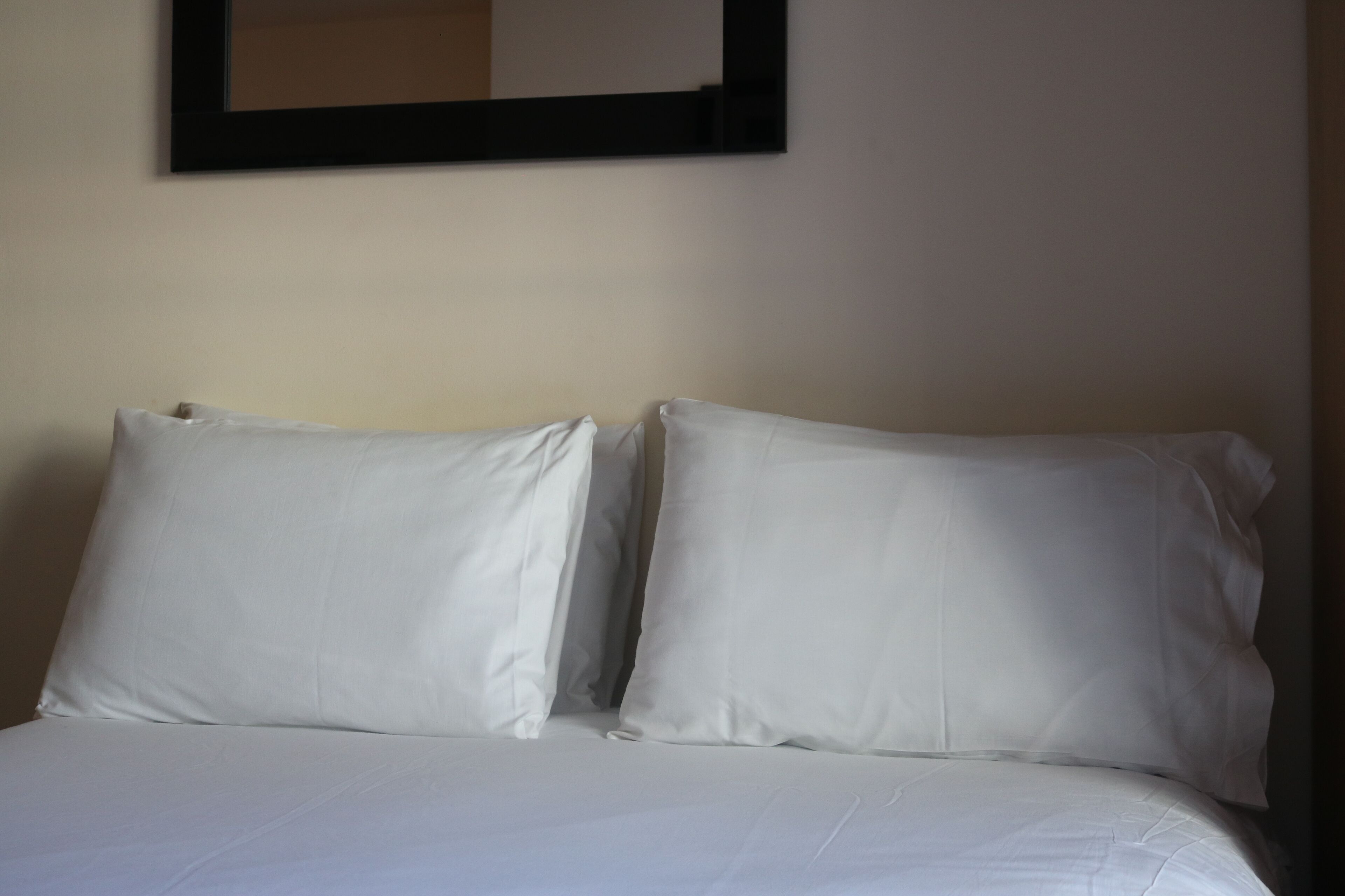 Photo - Lower Turks Head