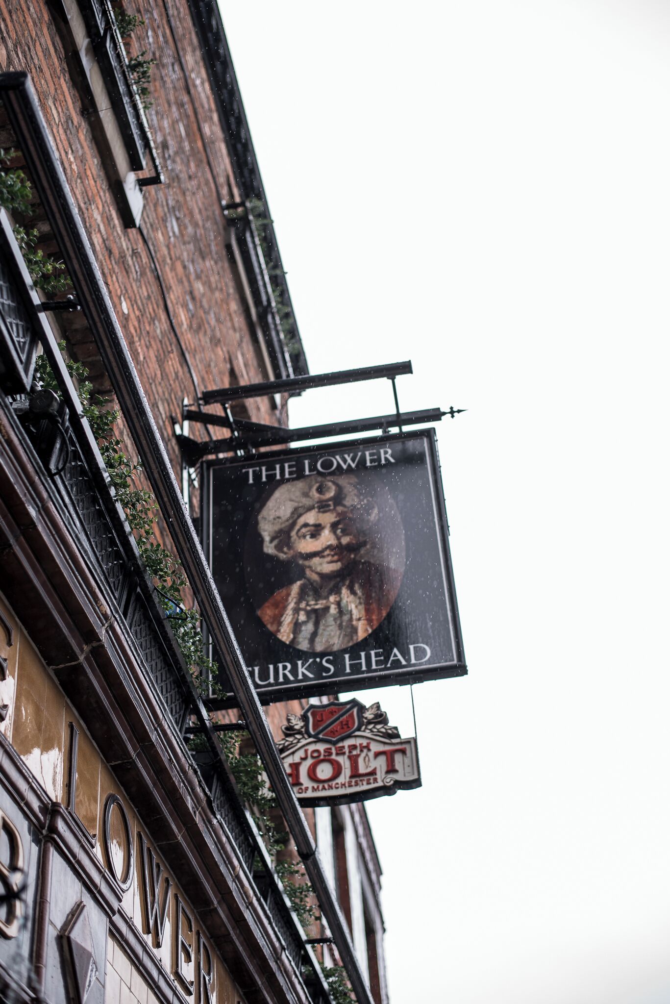 Photo - Lower Turks Head