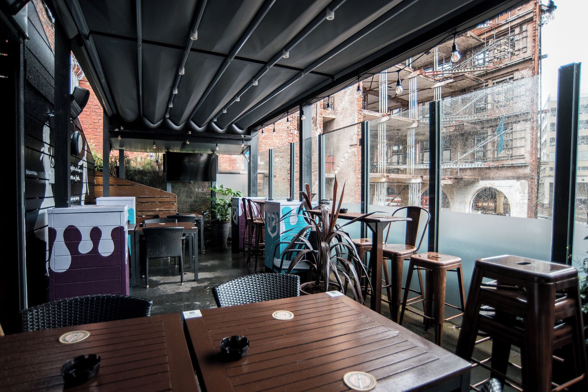 Foto - Lower Turks Head