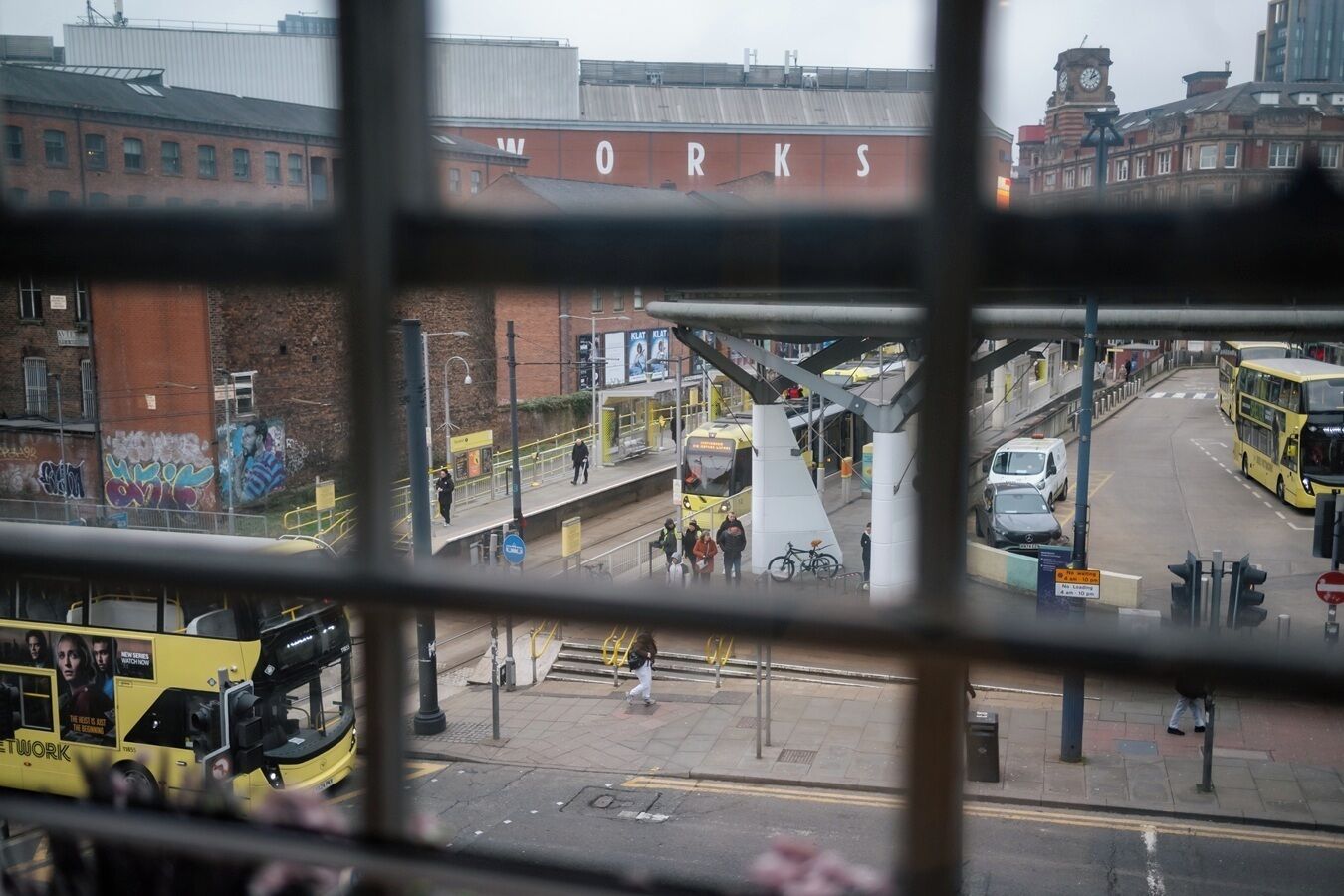 Foto - Lower Turks Head