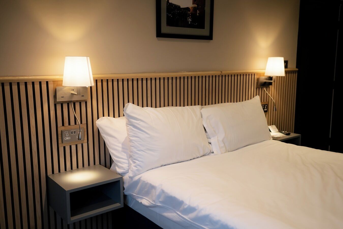 Foto - Lower Turks Head