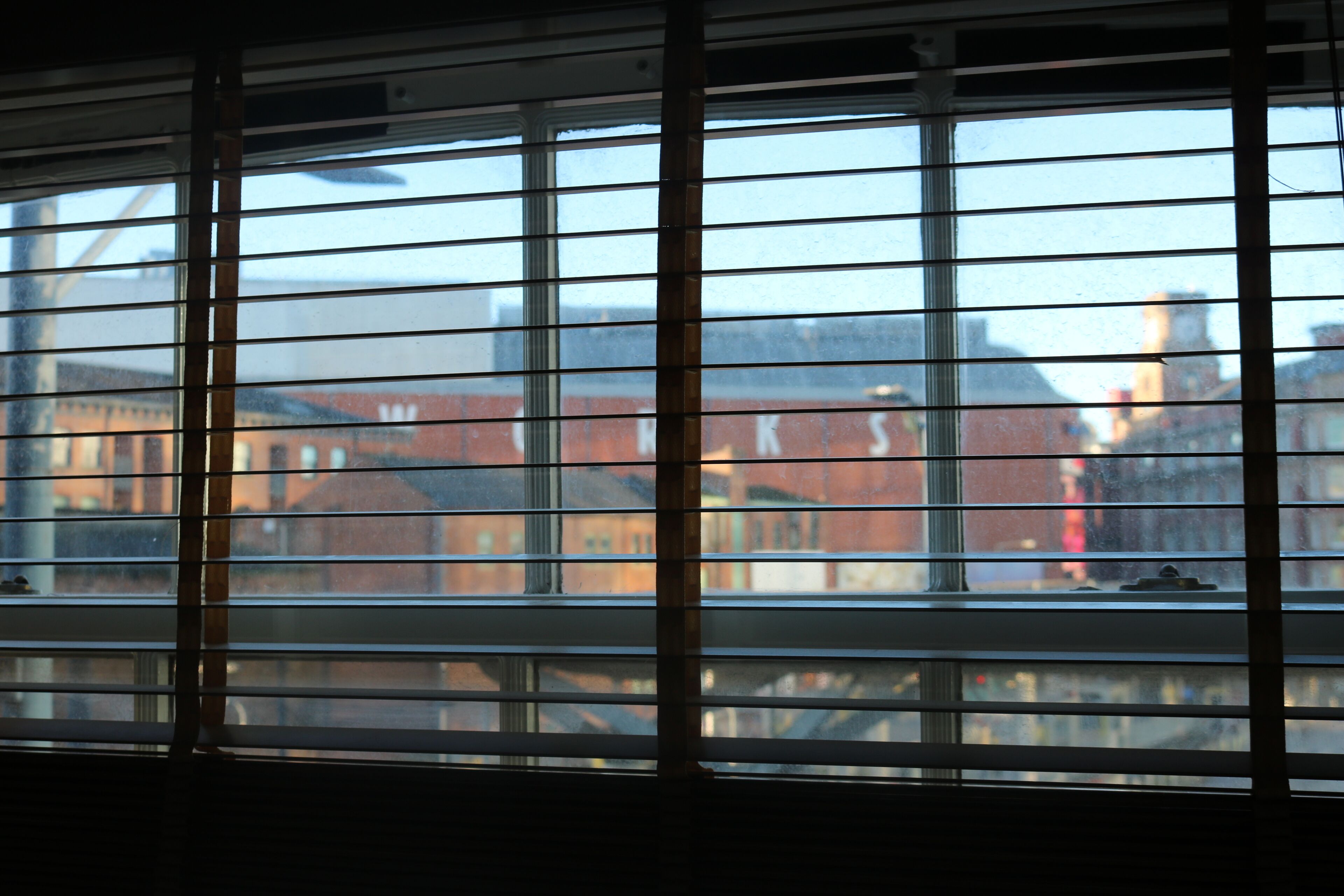 Photo - Lower Turks Head