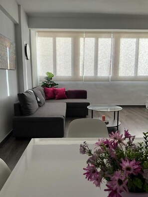 TV - Ayala Apartamentos (Málaga)