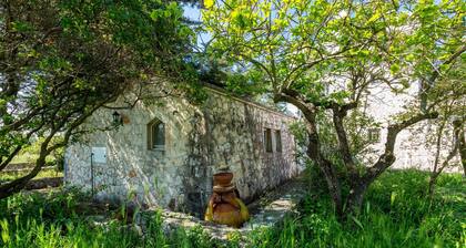 3438 Villa Poggio dei Loti by Barbarhouse