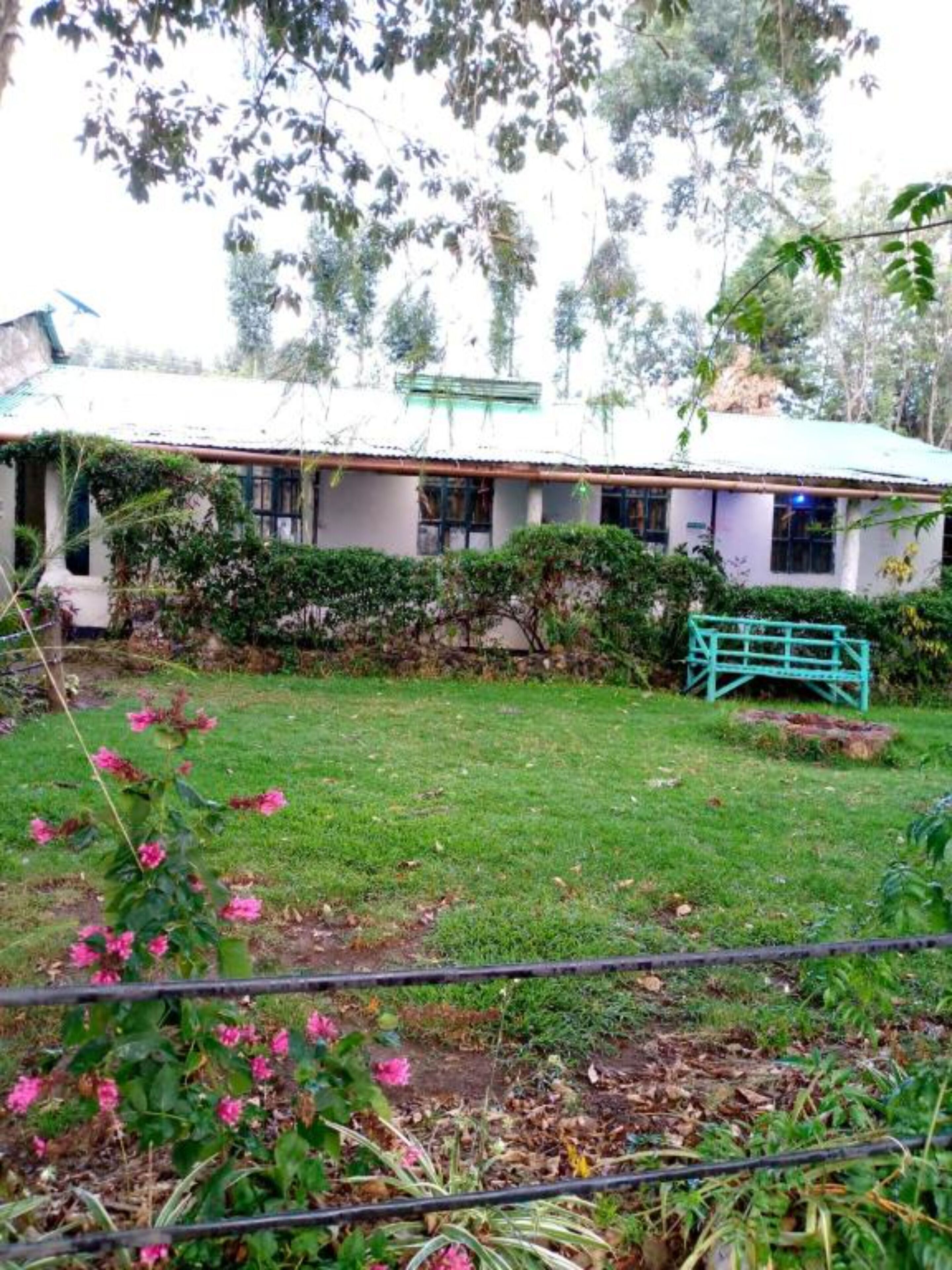 A house with a green roof, surrounded by a garden with pink flowers and a green fence.