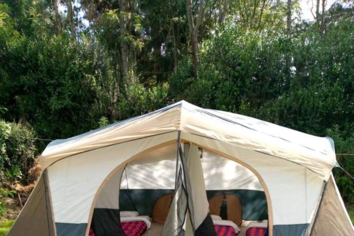 Una tenda amb forma de cúpula, amb una entrada central, dues zones de dormir amb almoades i terra enjardinada.