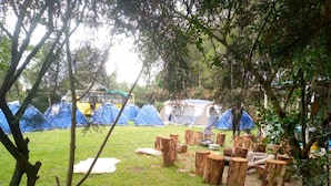 A campsite with several tents and wooden stumps arranged on the grass. - Sofa Camp Naivasha (Naivasha)