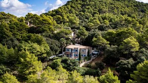 A house surrounded by dense forest, with a clear view of the surrounding nature. - Villa Sofía súper lujo (Valldemossa)